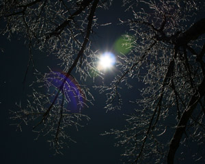 moon-ice-2.jpg