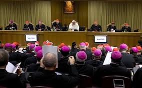 Pentecost 25  Vatican Special Synod on the Family