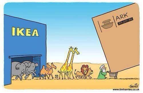 Image result for Noah Building His Ark Cartoon