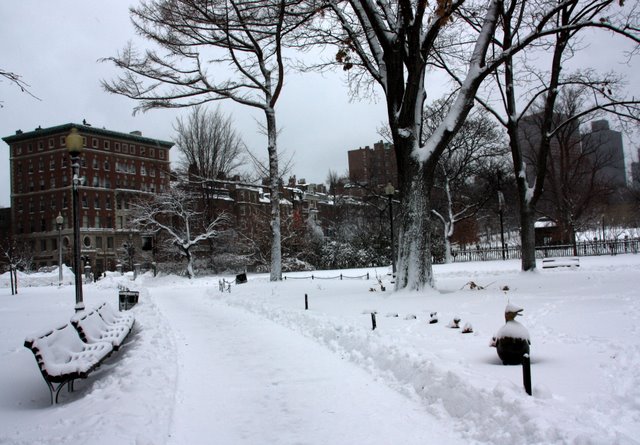 Boston Public Garden Snowfall, by Bill Ilott. Flickr Commons.