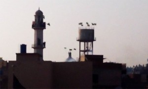 A photo of the Ahmadi Mosque in Chakwal - courtesy of Rabwah Times Twitter