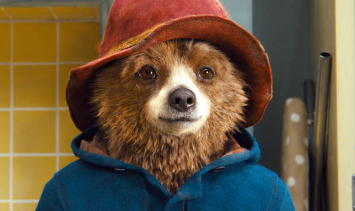 pomeranian paddington