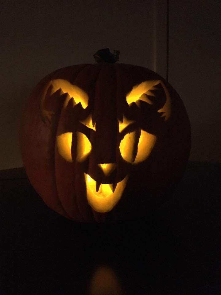 easy cat pumpkin carving ideas