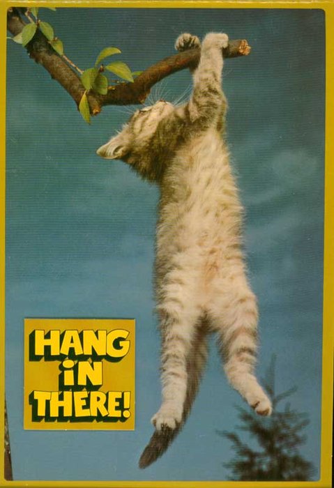 kitten-hang-in-there-poster.jpg