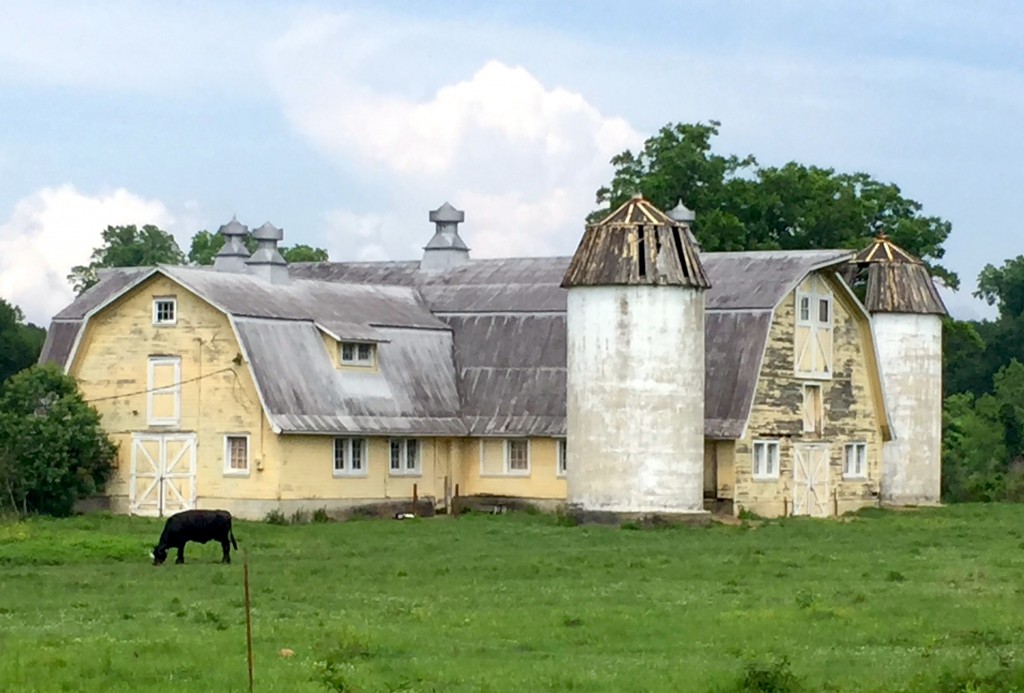 The historic barn at Grand Coteau: a cathedral for cows.