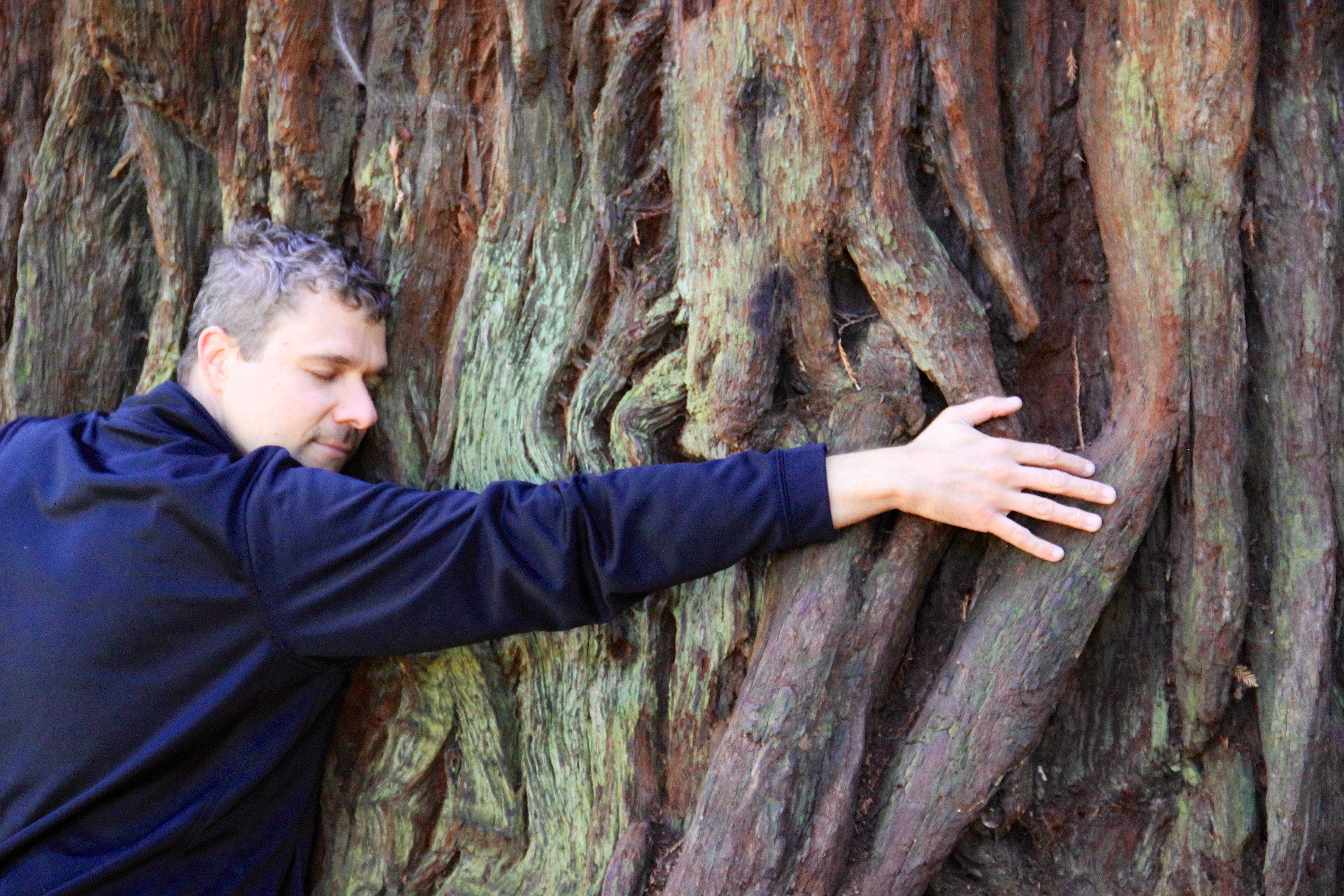 how-to-be-a-catholic-tree-hugger-fr-dwight-longenecker