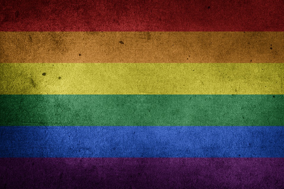 anti gay flag pics